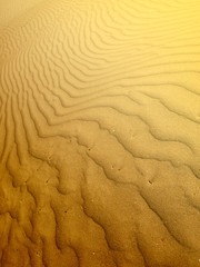 Sand dune background