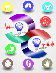 brain with line of the miscellaneous of the colour with circle
