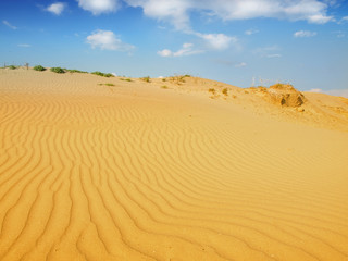 Sand dunes
