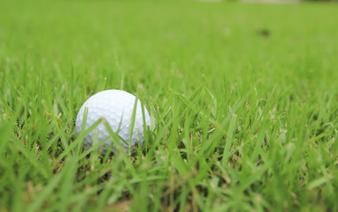Golf club and ball in grass