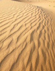 Sand dune background
