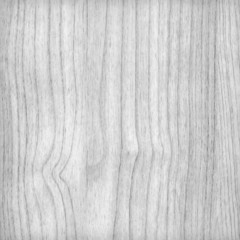 Wood pine plank - white texture background