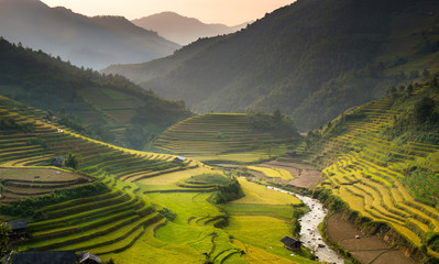 farmer and farm