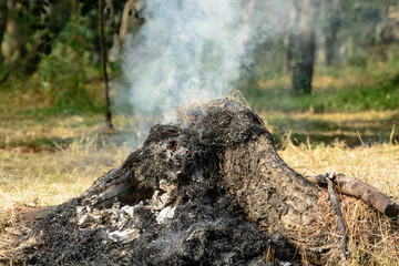 stump fired smoke a deforest in Thailand plate behide