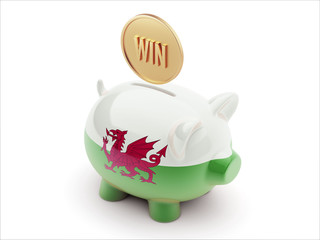 Wales Win Concept Piggy Concept