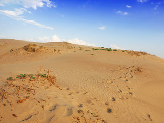 Beautiful sand dunes in the Sahara desert, Tunisia