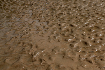 mud texture