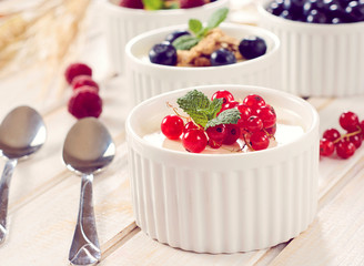 Soft vanilla cream and current