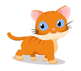 Cute baby cat cartoon