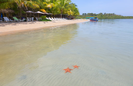 Starfish beach, Bocas del Toro, Panama