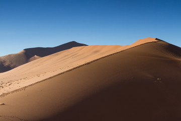 Fototapeta na wymiar Red sand dune Big Daddy
