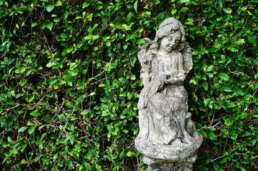 tree wall background