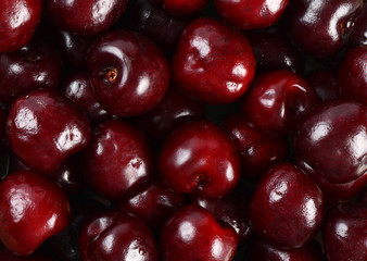 Cherry on the branch with leaves