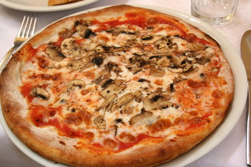 Pizza mit Thunfisch und Pilzen