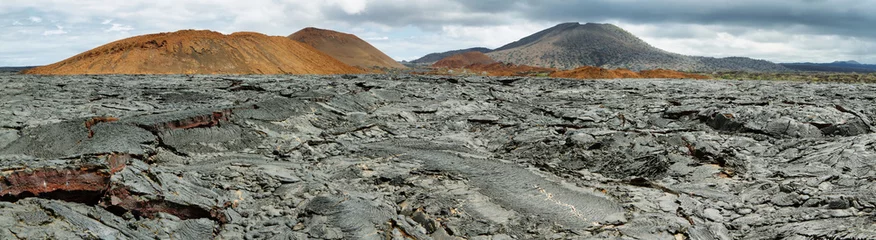 Wandcirkels aluminium Vulkanisch landschap van het eiland Santiago © estivillml