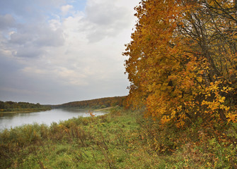 Река Ока в Поленово. Тульская область. Россия