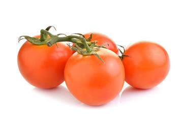 tomato isolate on white background