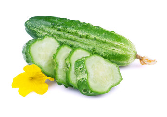 Ripe juicy cucumbe