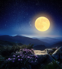 Full moon in the mountains © Oleksandr Kotenko