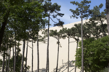 Fototapeta premium pyla sand dunes france