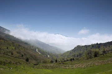 scenic pyrenees view in france