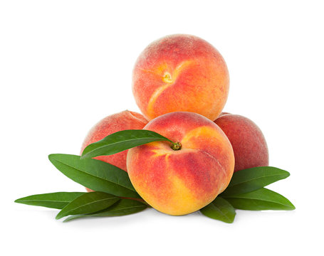 Ripe peaches fruit isolated on white background
