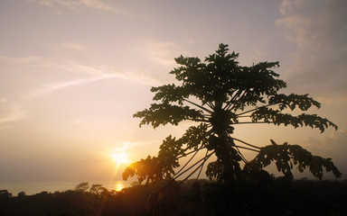 Fototapeta na wymiar caribbean sunset