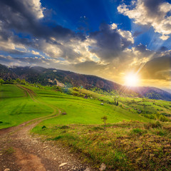 Fototapeta na wymiar path on hillside meadow in mountain at sunset