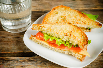panini sandwiches with salmon, cheese and salad
