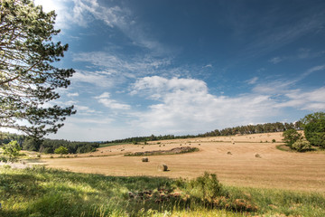 Balles de foin sur le causse, Lozère