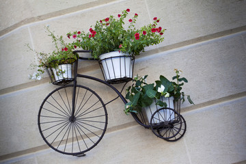 Fototapeta na wymiar Flowerpots on an old bike