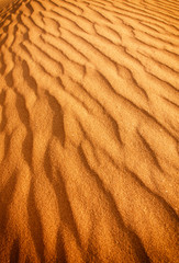 Sand dune background