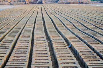 Bricks at Brick Kiln