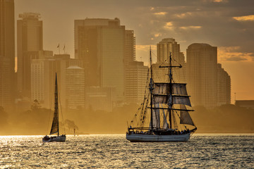 Tall ship sunset on Sydney Harbour