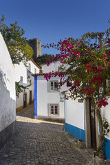 Fototapeta na wymiar Village de Obidos Portugal
