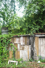 old ruin wood cottage