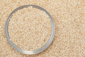 White seed sesame close up