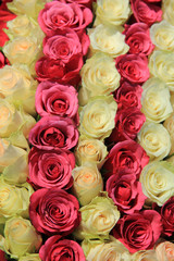Pink roses in different shades in wedding arrangement