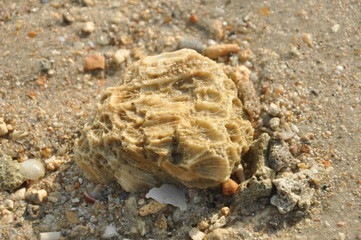 The coral stone
