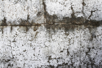 Grunge texture concrete wall