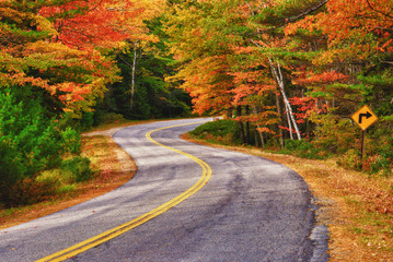 Winding road curves through autumn trees in New England