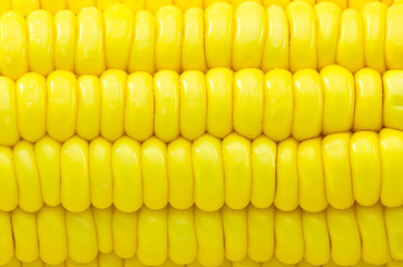 yellow corn close up