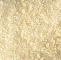 White rice  background