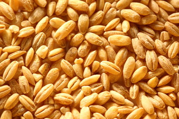Pearl barley background