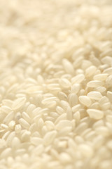 White rice background