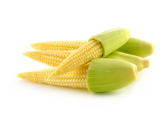 baby corn isolated on white background