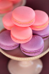 French macarons dessert