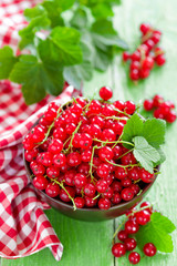 Red currant