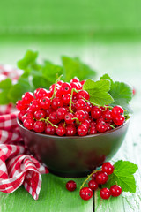 Red currant