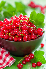 Red currant